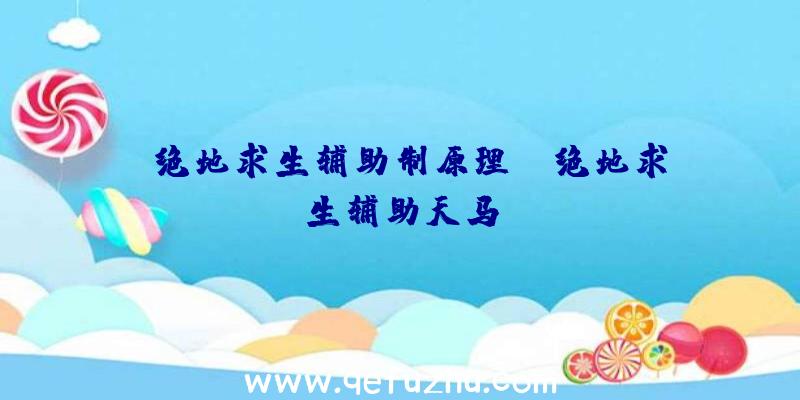 「绝地求生辅助制原理」|绝地求生辅助天马